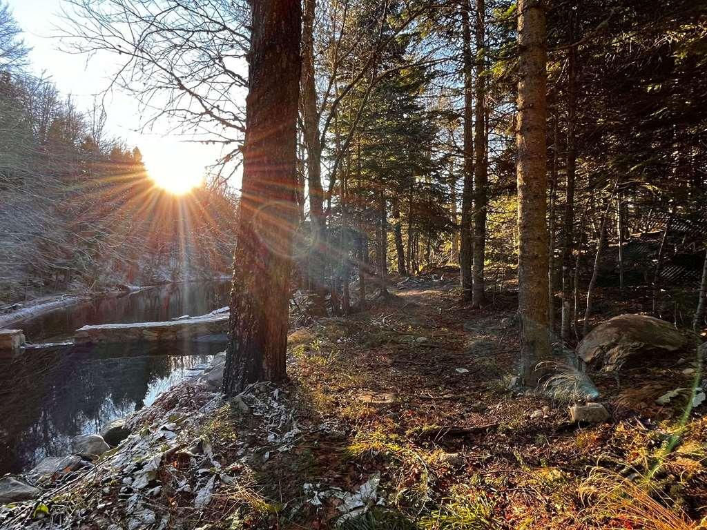 Swissotel Uludag Bursa Facilități foto